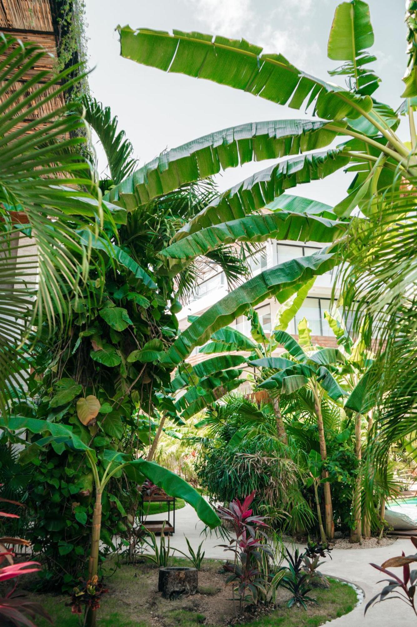 툴룸 Kinah Retreat - Exclusive Boho Tropical Escape 아파트 외부 사진